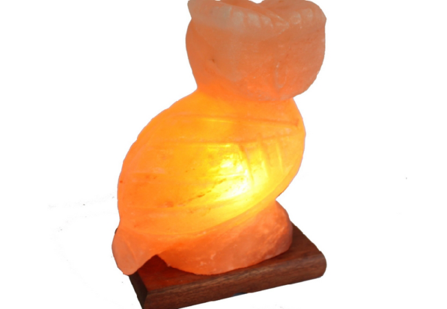 Khewra Owl Salt Lamp