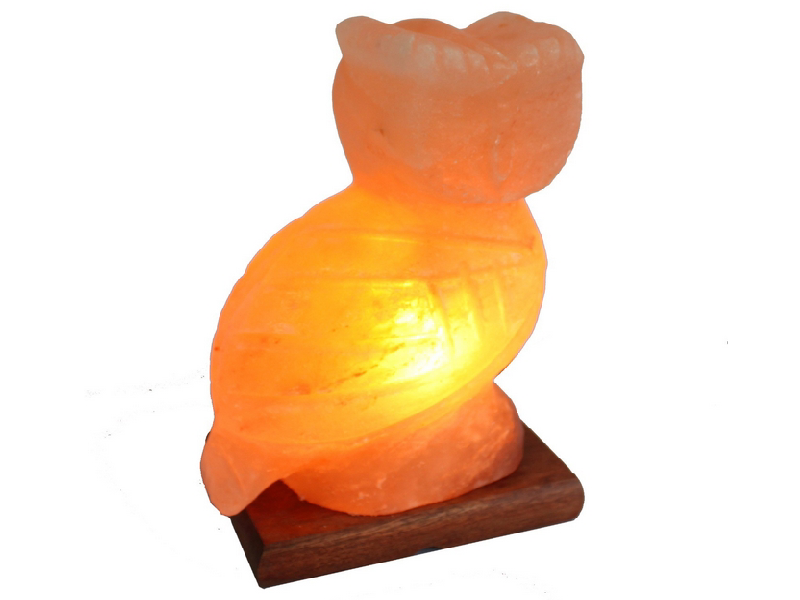 Owl Salt Lamp (HandiCraft)