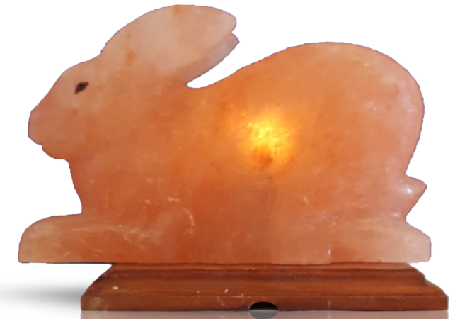 Khewra Rabbit Salt Lamp