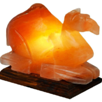Khewra Camel Salt Lamp