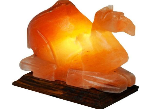 Khewra Camel Salt Lamp