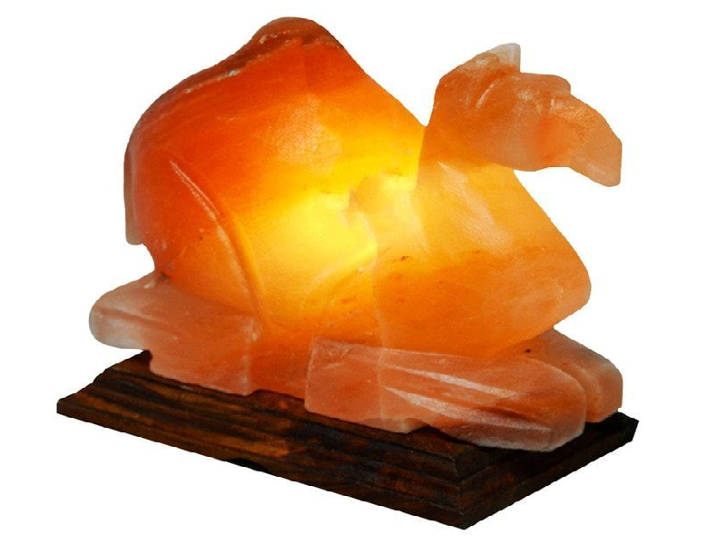 Camel Salt Lamp (HandiCraft)