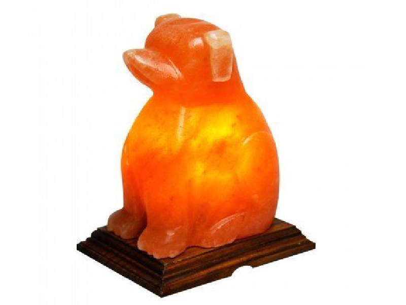 Dog Salt Lamp (HandiCraft)