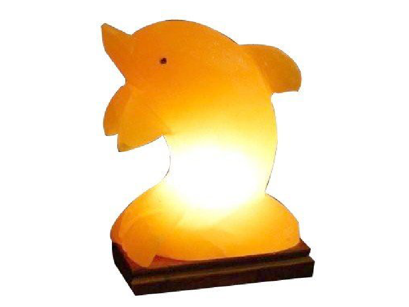 Dolphin Salt Lamp (HandiCraft)