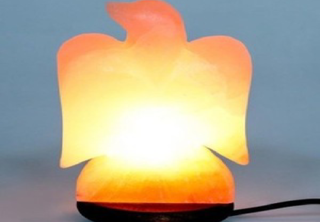 Khewra Eagle Salt Lamp