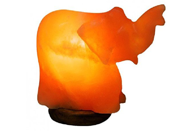 Khewra Elephant Salt Lamp (I)