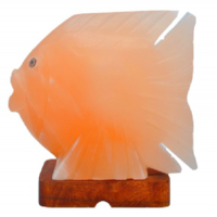 Khewra Fish Salt Lamp