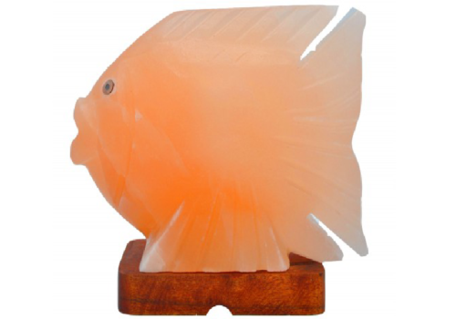 Fish Salt Lamp (HandiCraft)