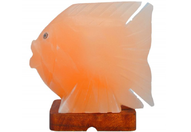 Khewra Fish Salt Lamp