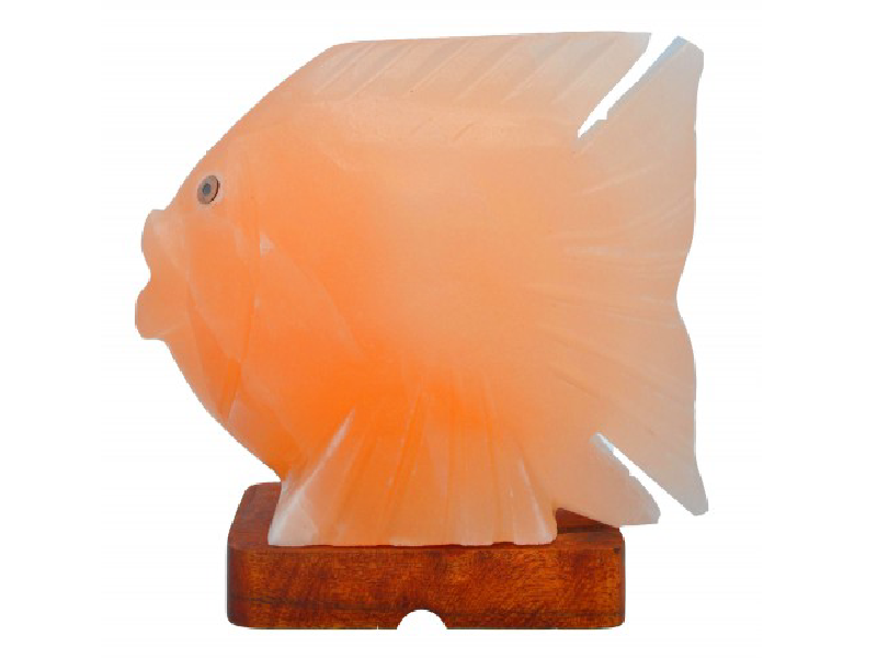 Fish Salt Lamp (HandiCraft)