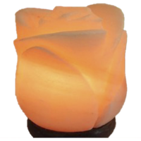 Khewra Flower Salt Lamp