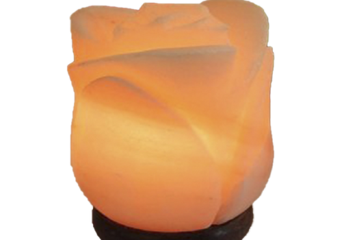 Flower Salt Lamp (Crafted)