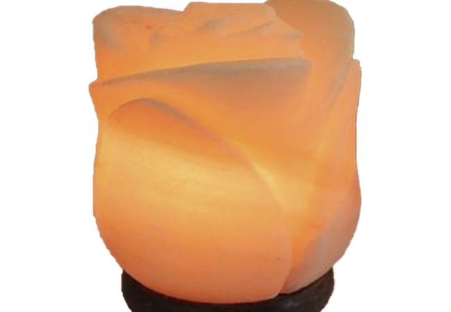 Khewra Flower Salt Lamp