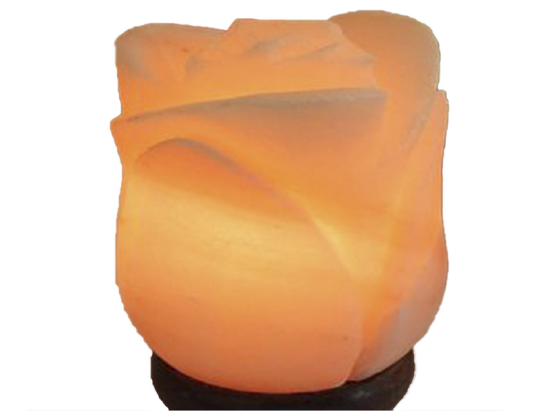 Flower Salt Lamp (Crafted)