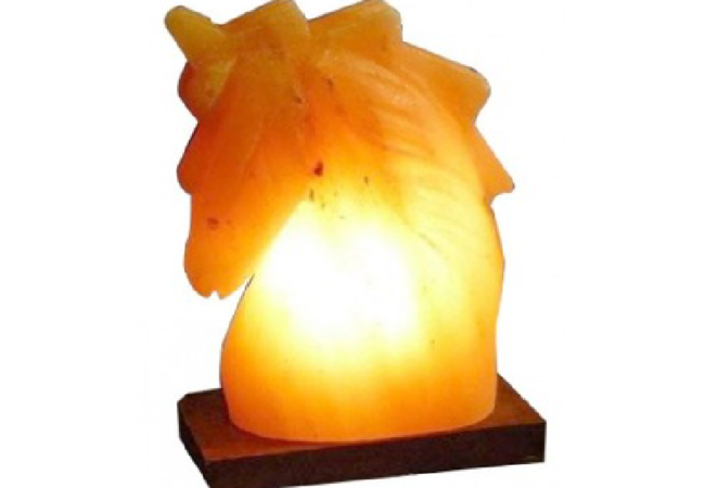 Khewra Horse Salt Lamp (II)