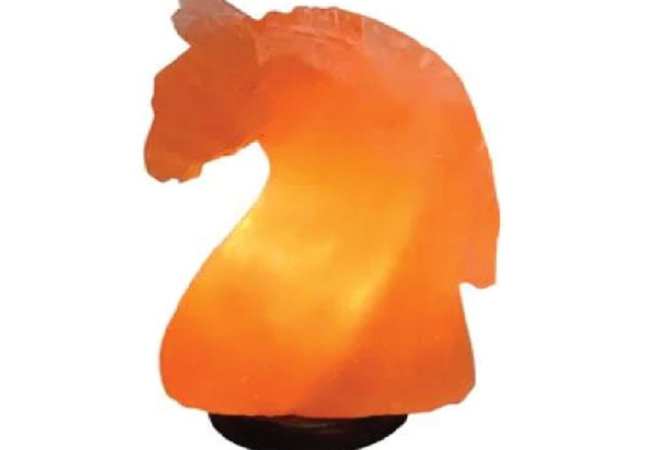 Khewra Horse Salt Lamp (I)