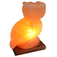 Khewra Owl Salt Lamp