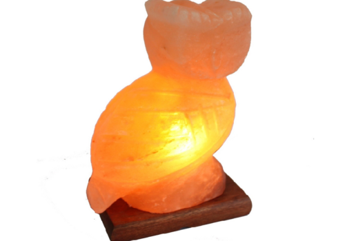 Owl Salt Lamp (HandiCraft)