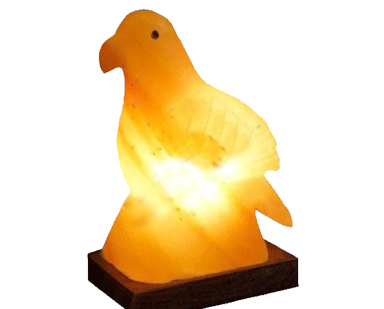 Khewra Pigeon Salt Lamp