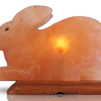 Khewra Rabbit Salt Lamp