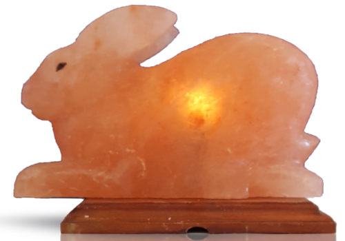Rabbit Salt Lamp (HandiCraft)