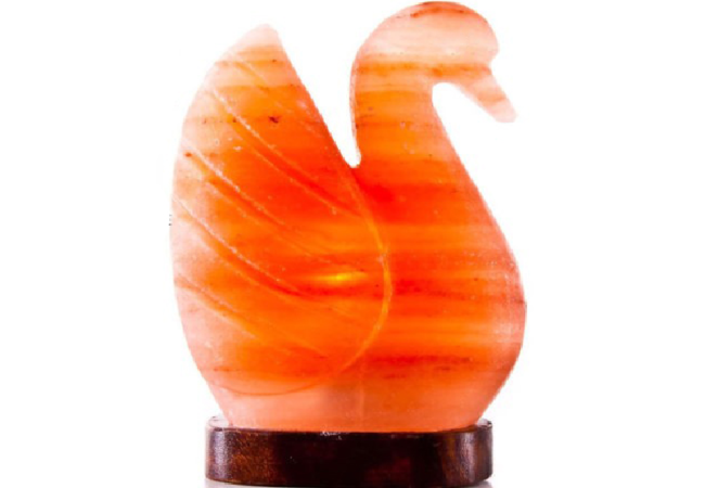Khewra Swan Salt Lamp