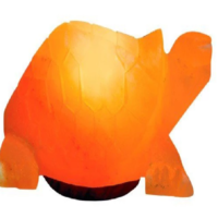 Khewra Turtle Salt Lamp