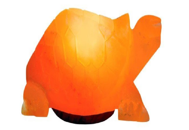 Khewra Turtle Salt Lamp